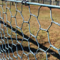 Stainless steel chicken wire